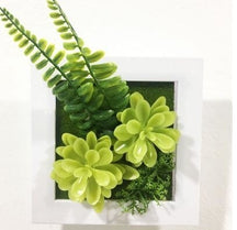 Green Artificial Succulent Plant Wall Hanging Art Framed Picture Frame Home Decor Simulation Fake Cactus Planters Terrarium Pots Garden by Arcane Trail