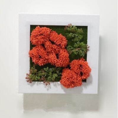 Red Artificial Succulent Plant Wall Hanging Art Framed Picture Frame Home Decor Simulation Fake Cactus Planters Terrarium Pots Garden by Arcane Trail