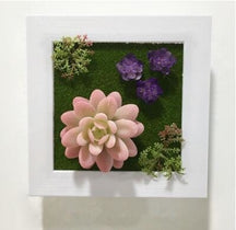 Pink Artificial Succulent Plant Wall Hanging Art Framed Picture Frame Home Decor Simulation Fake Cactus Planters Terrarium Pots Garden by Arcane Trail