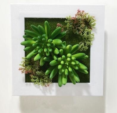 Green Artificial Succulent Plant Wall Hanging Art Framed Picture Frame Home Decor Simulation Fake Cactus Planters Terrarium Pots Garden by Arcane Trail