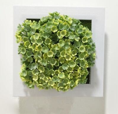 Green Artificial Succulent Plant Wall Hanging Art Framed Picture Frame Home Decor Simulation Fake Cactus Planters Terrarium Pots Garden by Arcane Trail