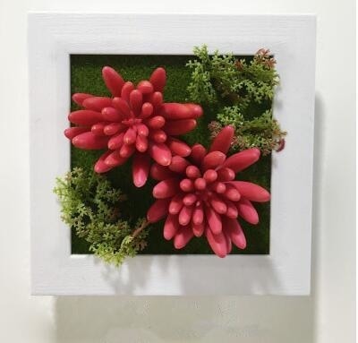 Red Artificial Succulent Plant Wall Hanging Art Framed Picture Frame Home Decor Simulation Fake Cactus Planters Terrarium Pots Garden by Arcane Trail