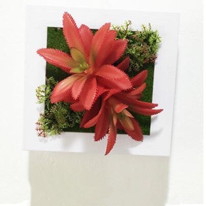 Red Artificial Succulent Plant Wall Hanging Art Framed Picture Frame Home Decor Simulation Fake Cactus Planters Terrarium Pots Garden by Arcane Trail