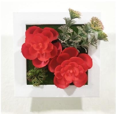 Red Artificial Succulent Plant Wall Hanging Art Framed Picture Frame Home Decor Simulation Fake Cactus Planters Terrarium Pots Garden by Arcane Trail