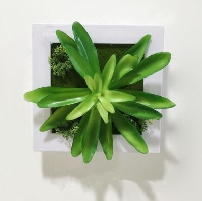 Green Artificial Succulent Plant Wall Hanging Art Framed Picture Frame Home Decor Simulation Fake Cactus Planters Terrarium Pots Garden by Arcane Trail