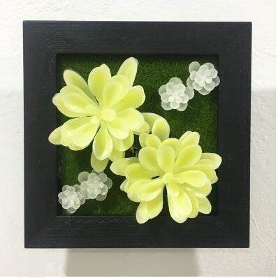 Green Artificial Succulent Plant Wall Hanging Art Framed Picture Frame Home Decor Simulation Fake Cactus Planters Terrarium Pots Garden by Arcane Trail