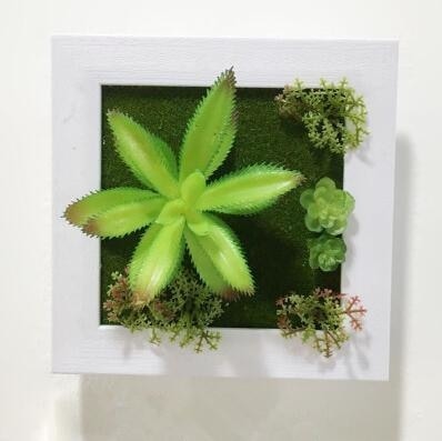 Green Artificial Succulent Plant Wall Hanging Art Framed Picture Frame Home Decor Simulation Fake Cactus Planters Terrarium Pots Garden by Arcane Trail