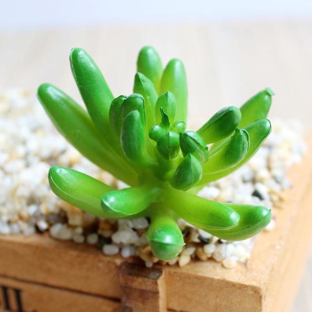 Green Artificial Succulent Plants Simulation Fake Cactus Planters Terrarium Pots Garden by Arcane Trail