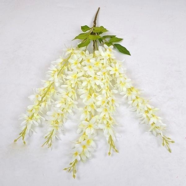 Hanging Wisteria Flowers - Plants