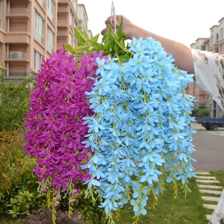 Hanging Wisteria Flowers - Plants