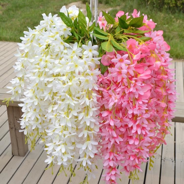 Hanging Wisteria Flowers - Plants