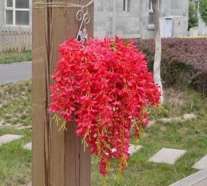 Hanging Wisteria Flowers - Plants