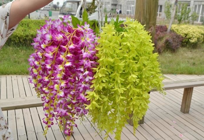 Hanging Wisteria Flowers - Plants