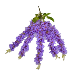 Hanging Wisteria Flowers - Violet (1 Piece) - Plants