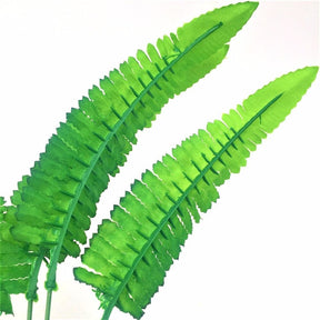Large Fern Leaf Foilage - Plants