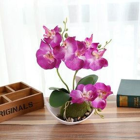 Potted Orchid - Purple - Plants