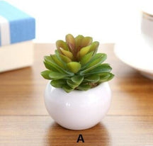 Green Artificial Potted Succulent Planter Pots White Ceramic Vase Simulation Fake Cactus Planters Terrarium Pots Garden by Arcane