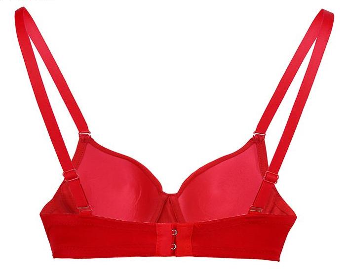 Gothic embellished bra showing the Red version’s straps, inner cups and rear fastening.