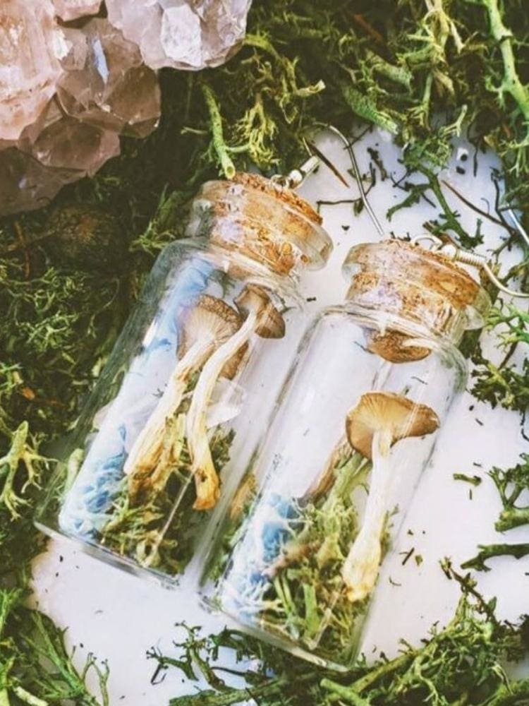 Toadstool Terrarium Jar Earrings - earrings